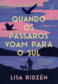 Capa de Quando os pássaros voam para o Sul
